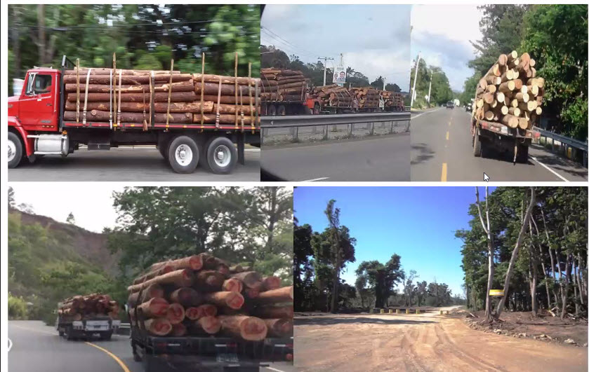 Deforestación afecta al río Camú