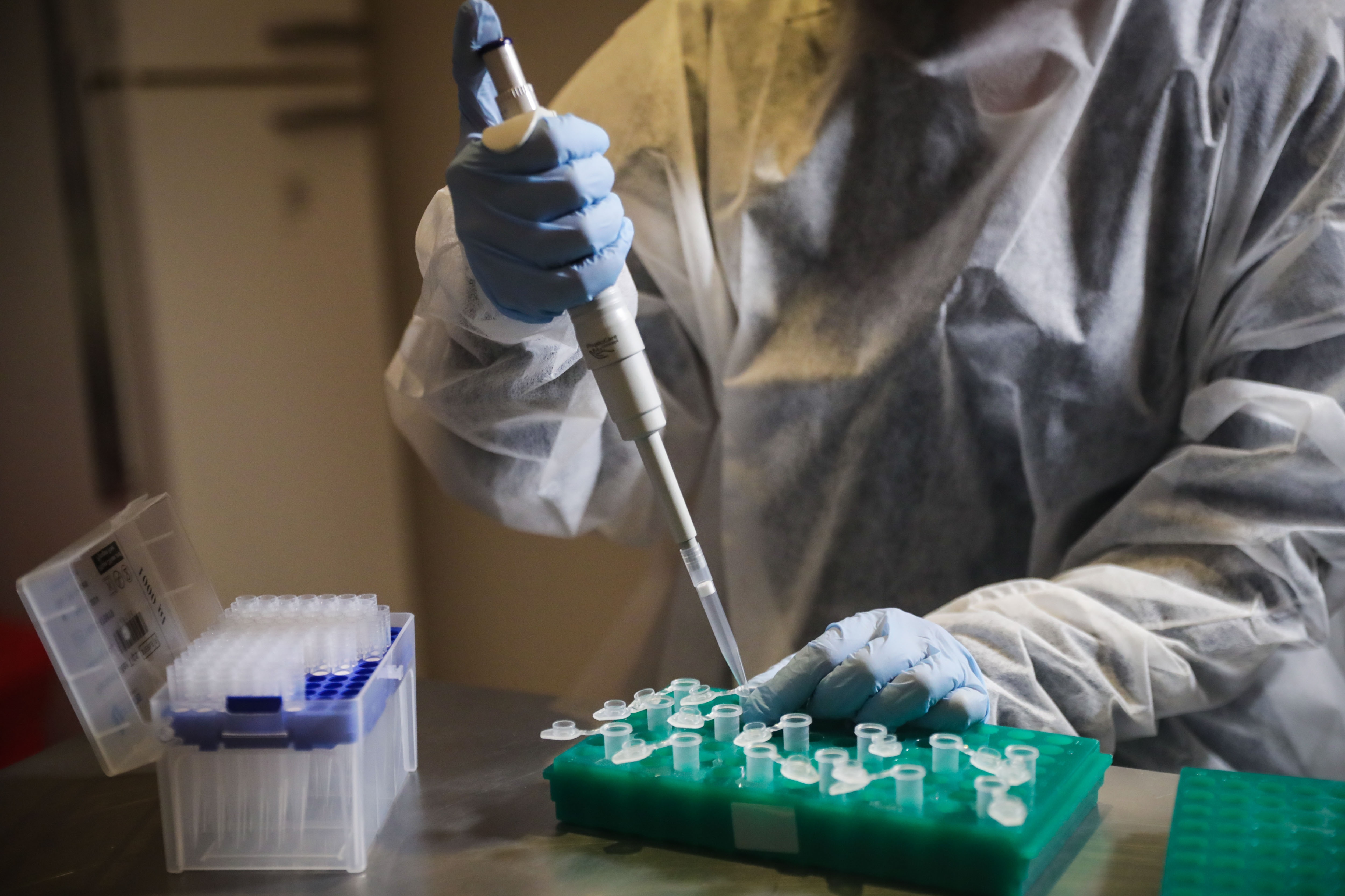 En la imagen, una bioquímica clínica trabaja en un laboratorio. EFE/Federico Anfitti/Archivo