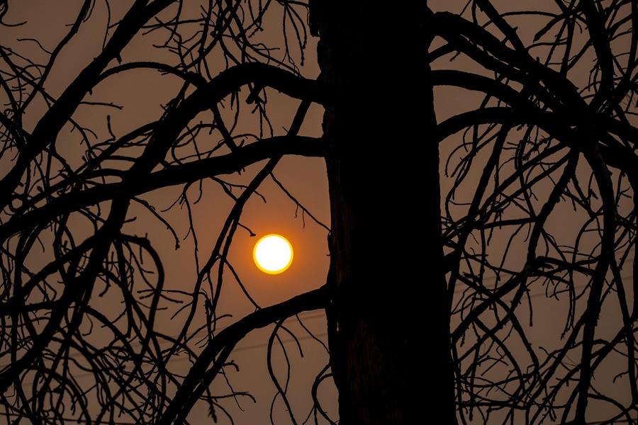 El sol se dibuja sobre un cielo teñido de rojo en medio de un bosque arrasado por las llamas tras uno de los incendios que han asolado gran parte del estado de California. EFE/EPA/PETER DASILVA