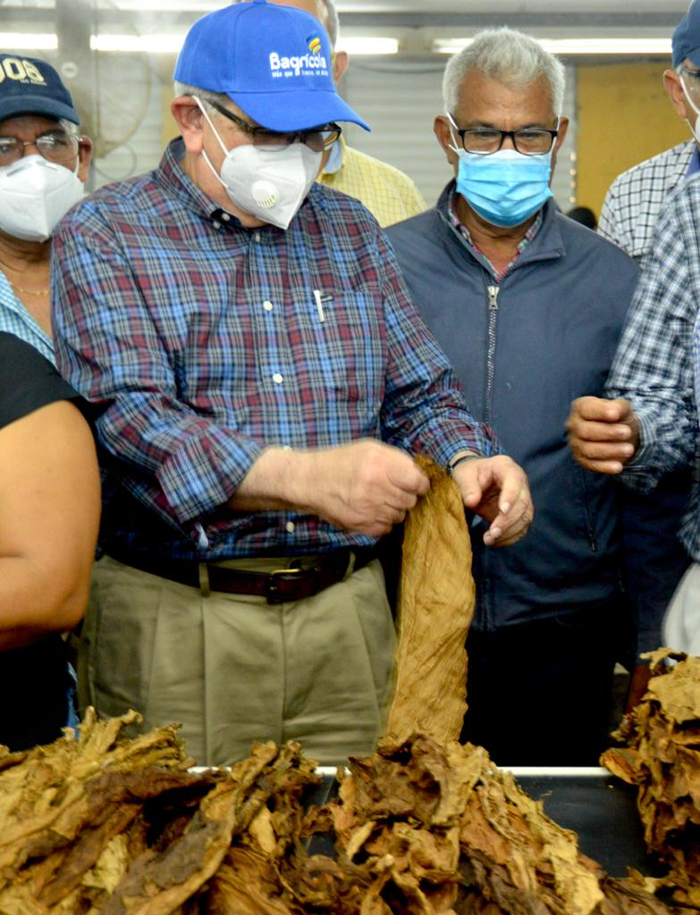 El administrador del Banco Agrícola afirma prestará RD$50 millones a productores de tabaco de la provincia Valverde