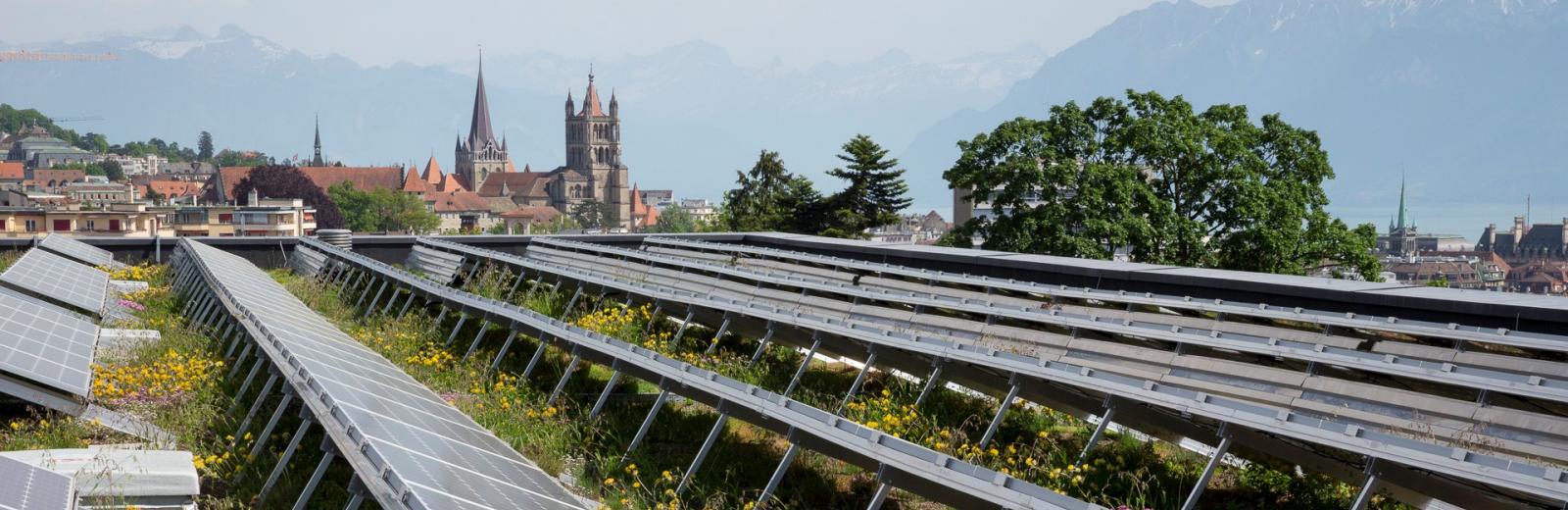  Con la introducción de techos vivos, parques pequeños y prados de flores, ciudades suizas como Ginebra y Lausana están utilizando la naturaleza urbana para ayudar a enfrentar el cambio climático.