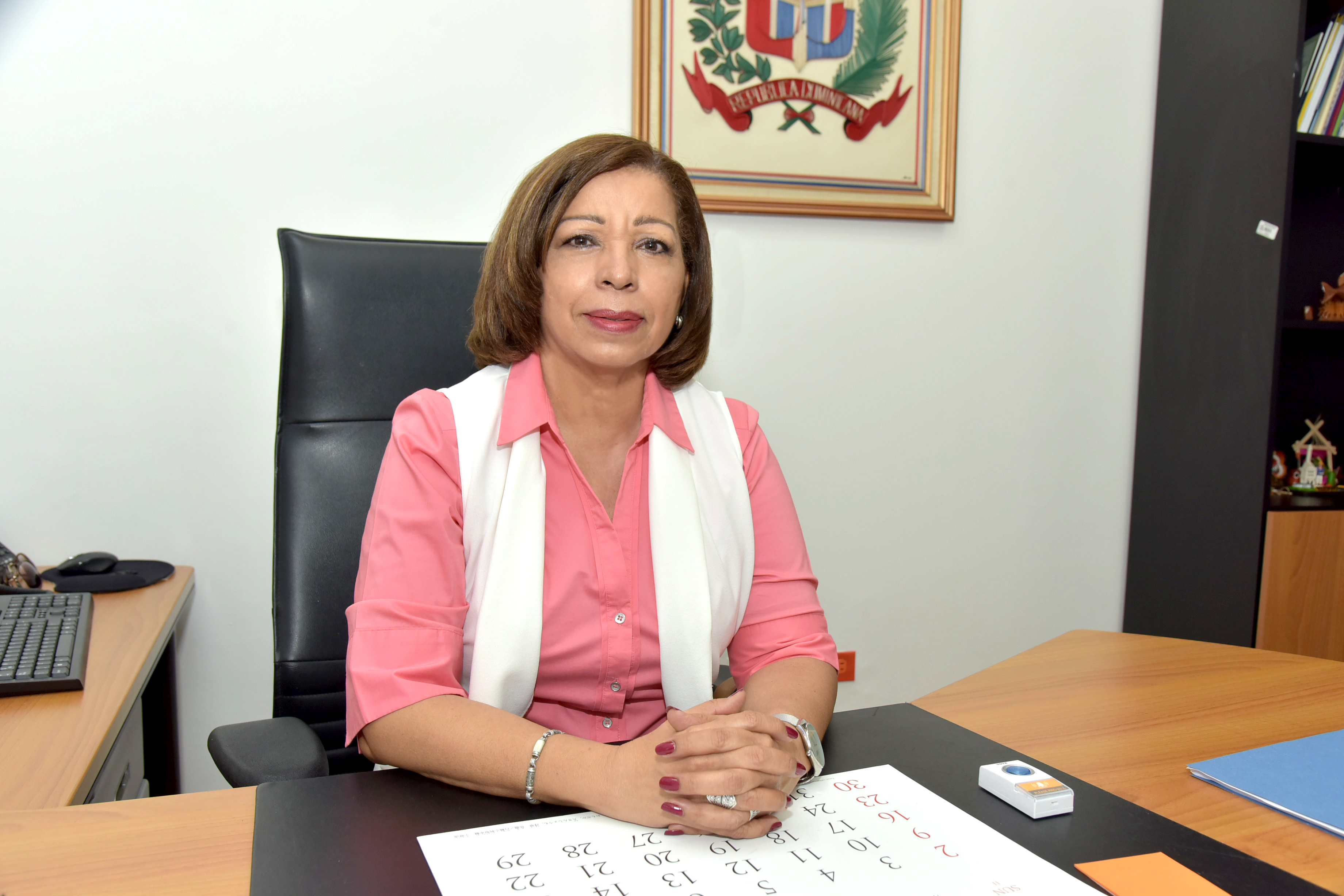 La viceministra de Servicios Técnicos y Pedagógicos, Ligia Pérez