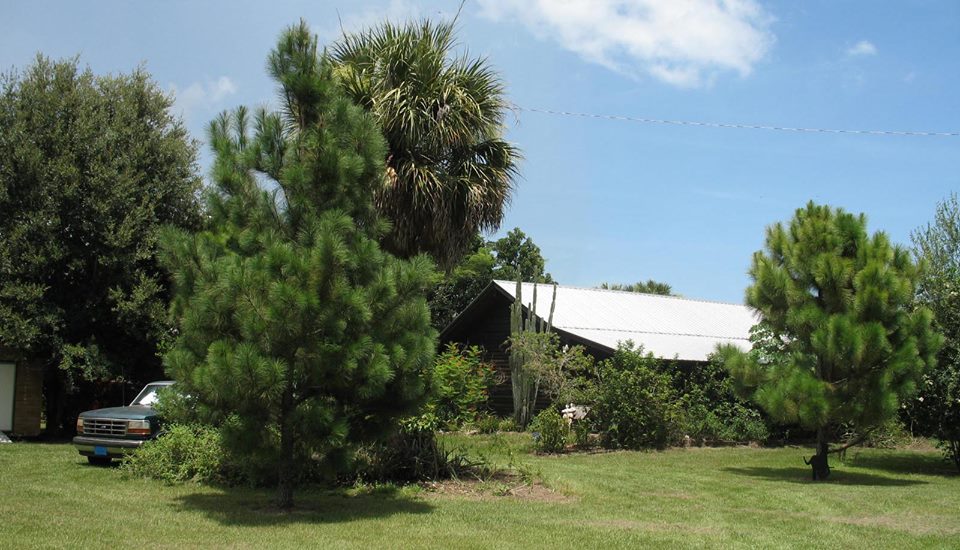 </span>