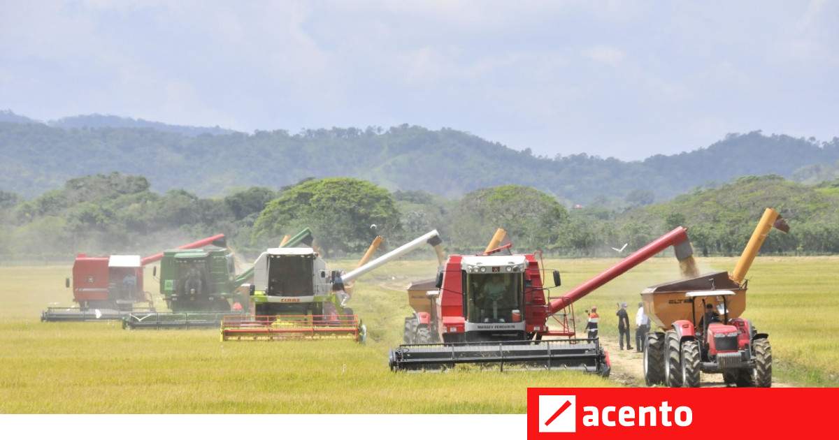 Gobierno preocupado por expansión inmobiliaria en tierras agrícolas - Vimarsana News