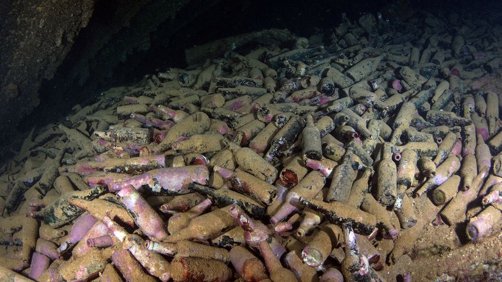 El tesoro oculto en las botellas de cerveza de un barco hundido hace 120 años - Vimarsana News