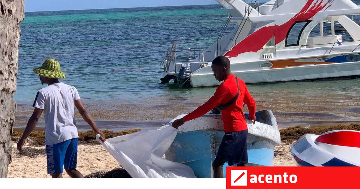 Entidades cívicas y militares limpian playas en zona Bávaro-Punta Cana - Vimarsana News